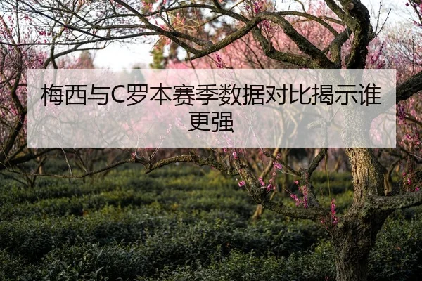 梅西与C罗本赛季数据对比揭示谁更强